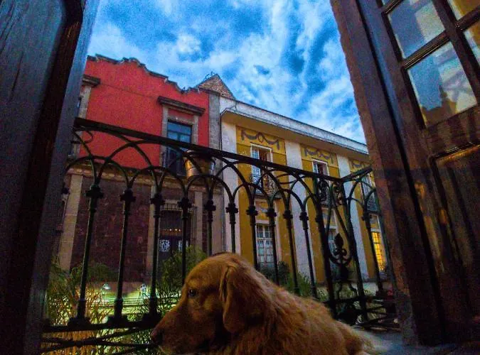 Regina Down Town Hostal